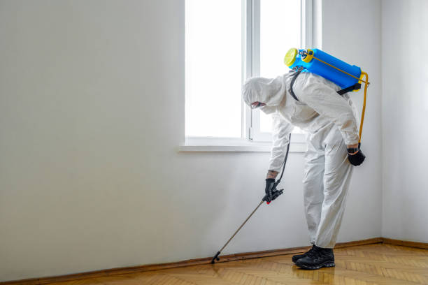 Best Commercial Pest Control Services  in Belleair Beach, FL