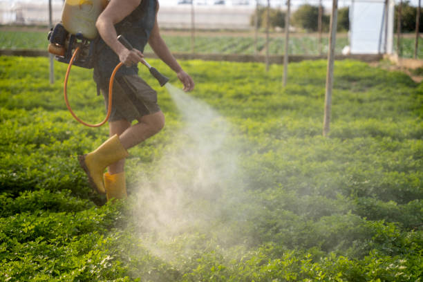 Best Best Pest Control Companies  in Belleair Beach, FL