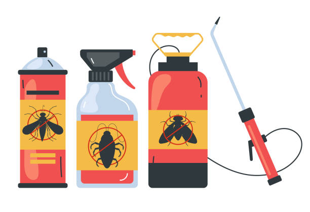 Best Ant Control Services  in Belleair Beach, FL